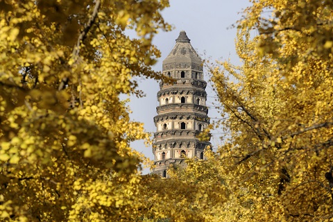 Tour Image