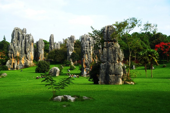 Tour Image
